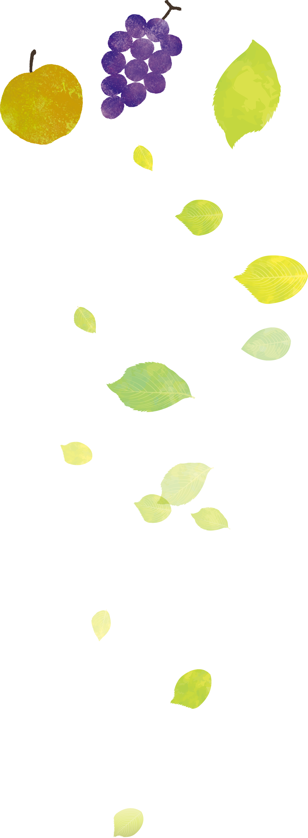 世羅町学校給食センター地域循環共生圏